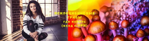 прущие крисы Абдулино